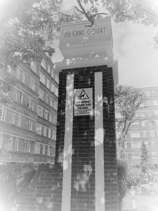 Photo 14- click for photo gallery